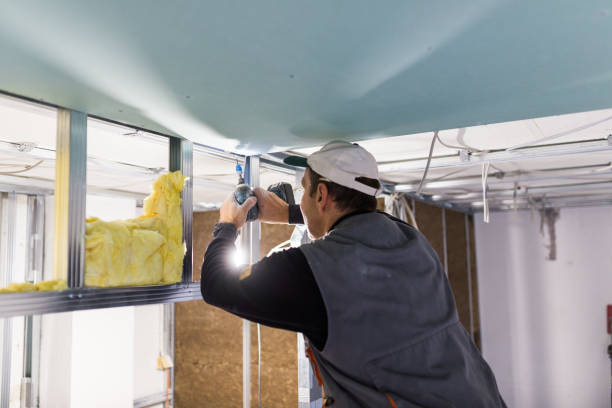 Best Eco-Friendly or Green Insulation Solutions  in Fernandina Beach, FL